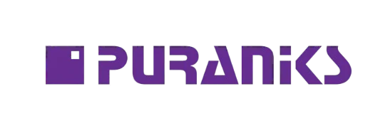 Puranik Builders
